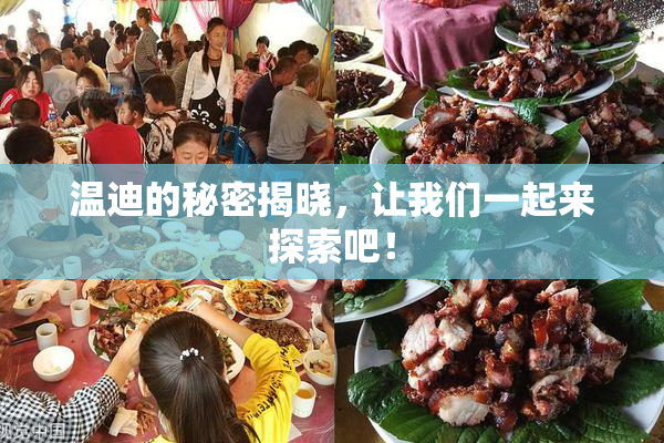 温迪的秘密揭晓，让我们一起来探索吧！