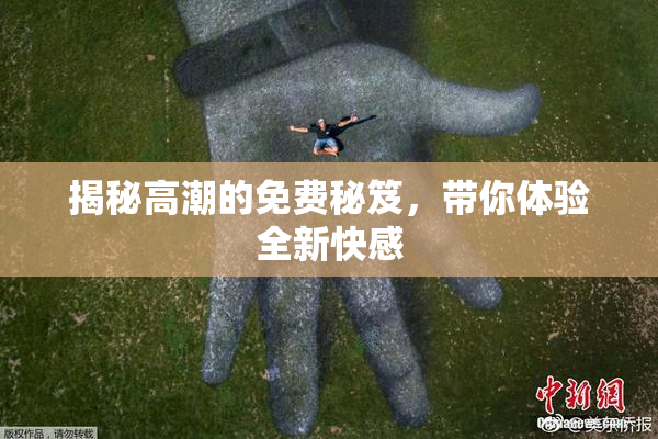 揭秘高潮的免费秘笈，带你体验全新快感