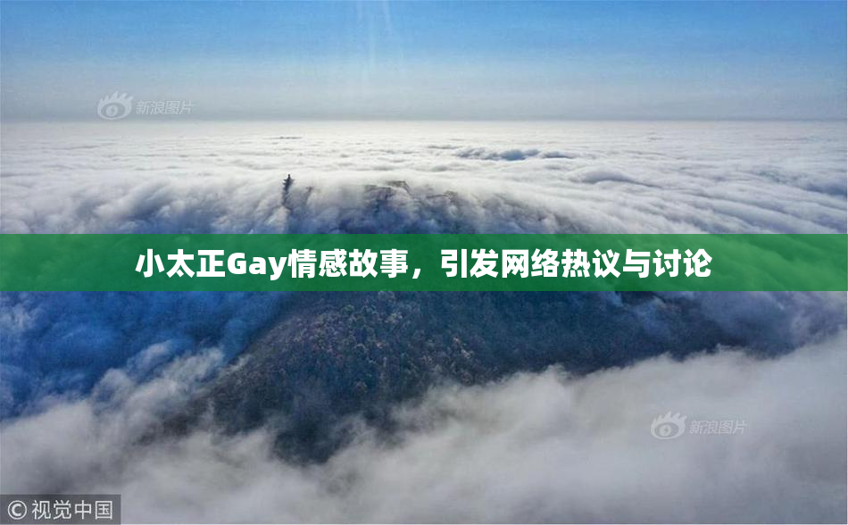 小太正Gay情感故事，引发网络热议与讨论