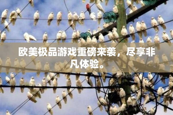 欧美极品游戏重磅来袭，尽享非凡体验。