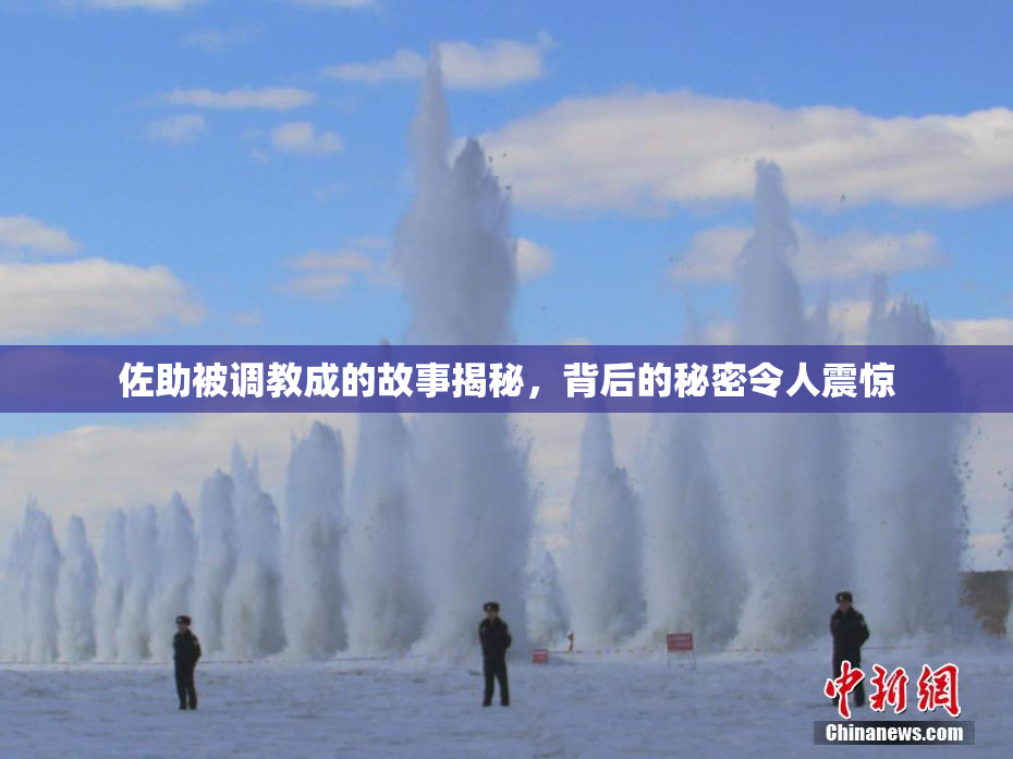 佐助被调教成的故事揭秘，背后的秘密令人震惊