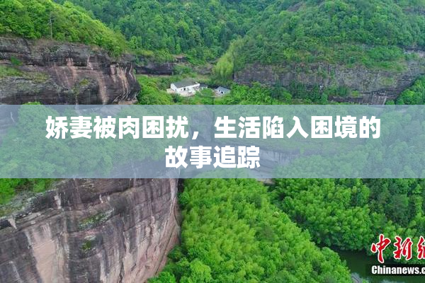 娇妻被肉困扰，生活陷入困境的故事追踪
