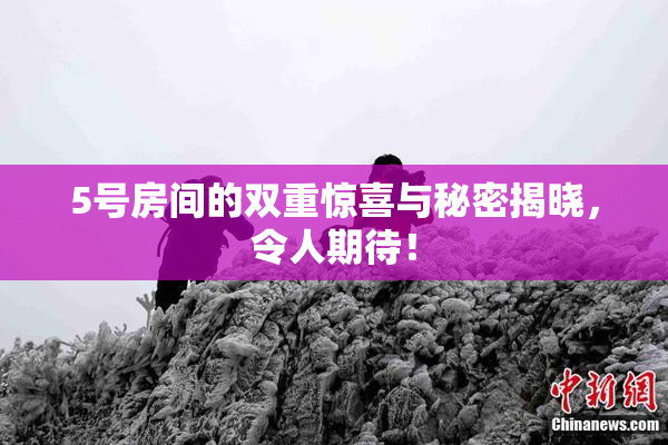 5号房间的双重惊喜与秘密揭晓，令人期待！
