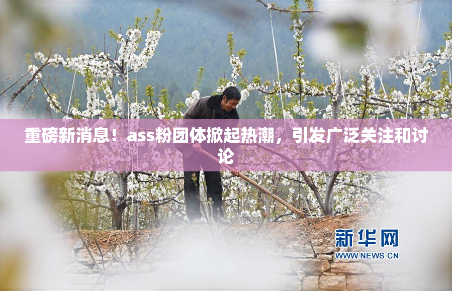 重磅新消息！ass粉团体掀起热潮，引发广泛关注和讨论