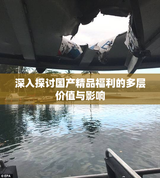 深入探讨国产精品福利的多层价值与影响