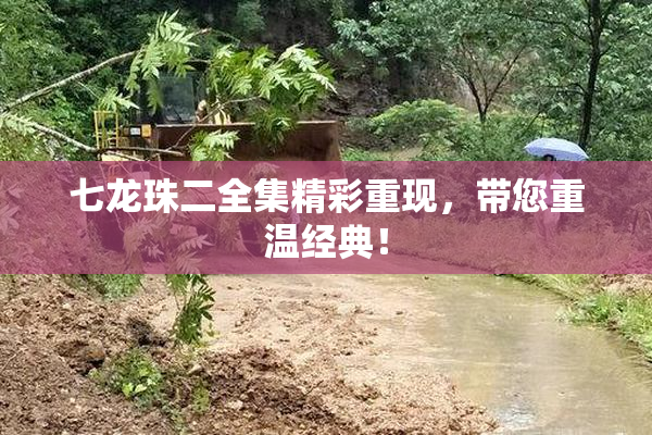 七龙珠二全集精彩重现，带您重温经典！