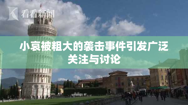 小哀被粗大的袭击事件引发广泛关注与讨论