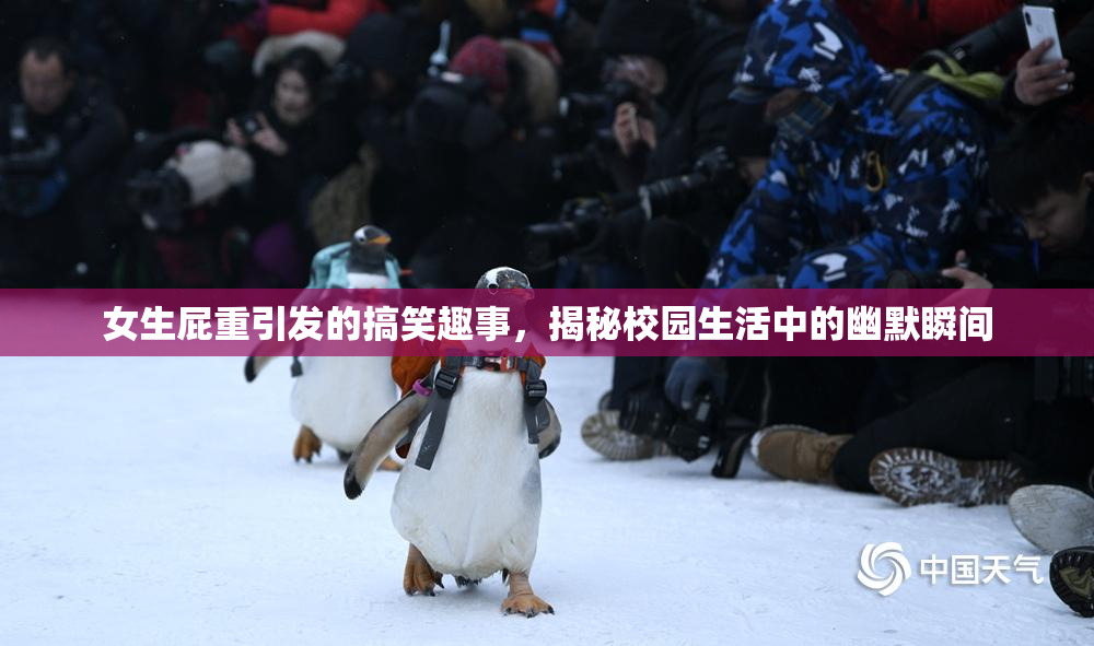 女生屁重引发的搞笑趣事，揭秘校园生活中的幽默瞬间