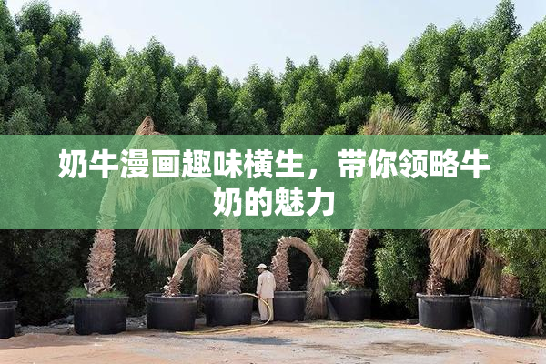 奶牛漫画趣味横生，带你领略牛奶的魅力
