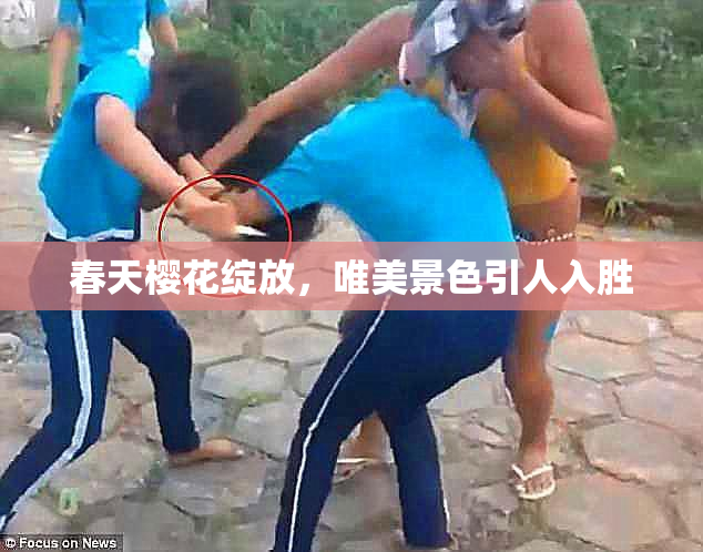 春天樱花绽放，唯美景色引人入胜