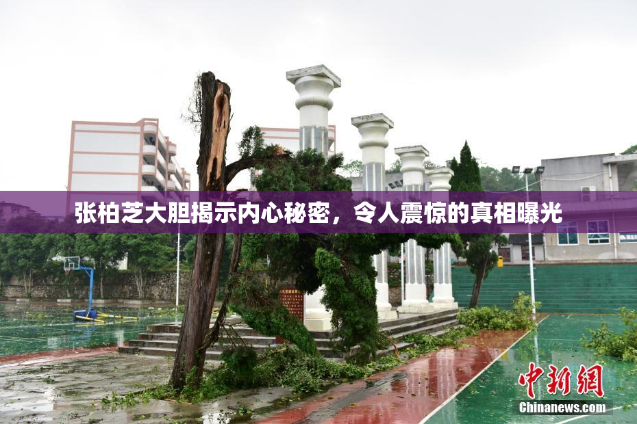 张柏芝大胆揭示内心秘密，令人震惊的真相曝光