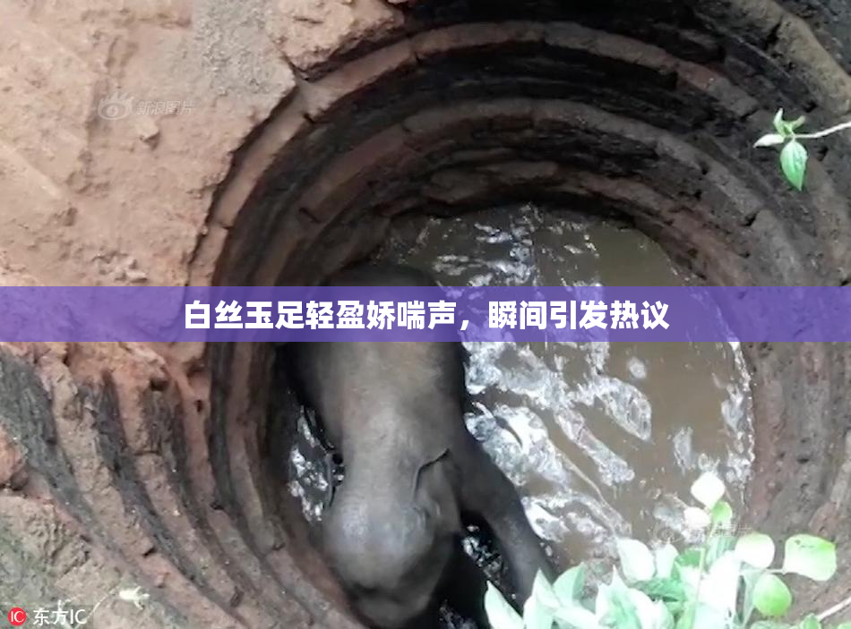 白丝玉足轻盈娇喘声，瞬间引发热议