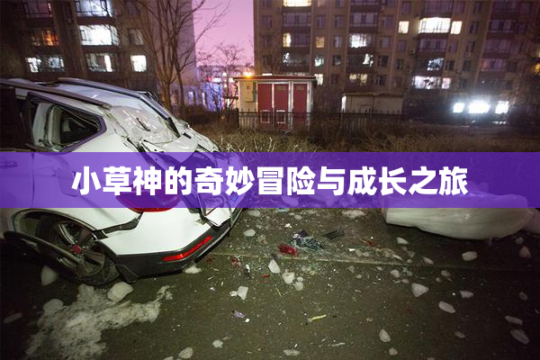 小草神的奇妙冒险与成长之旅