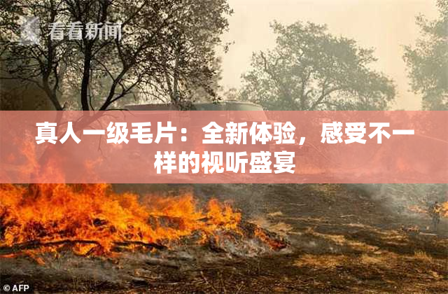 真人一级毛片：全新体验，感受不一样的视听盛宴