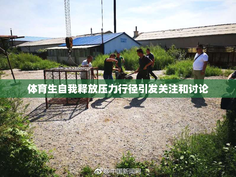 体育生自我释放压力行径引发关注和讨论