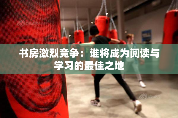 书房激烈竞争：谁将成为阅读与学习的最佳之地