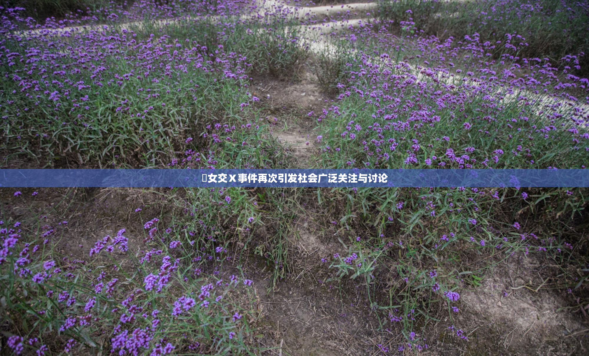 乣女交Ⅹ事件再次引发社会广泛关注与讨论