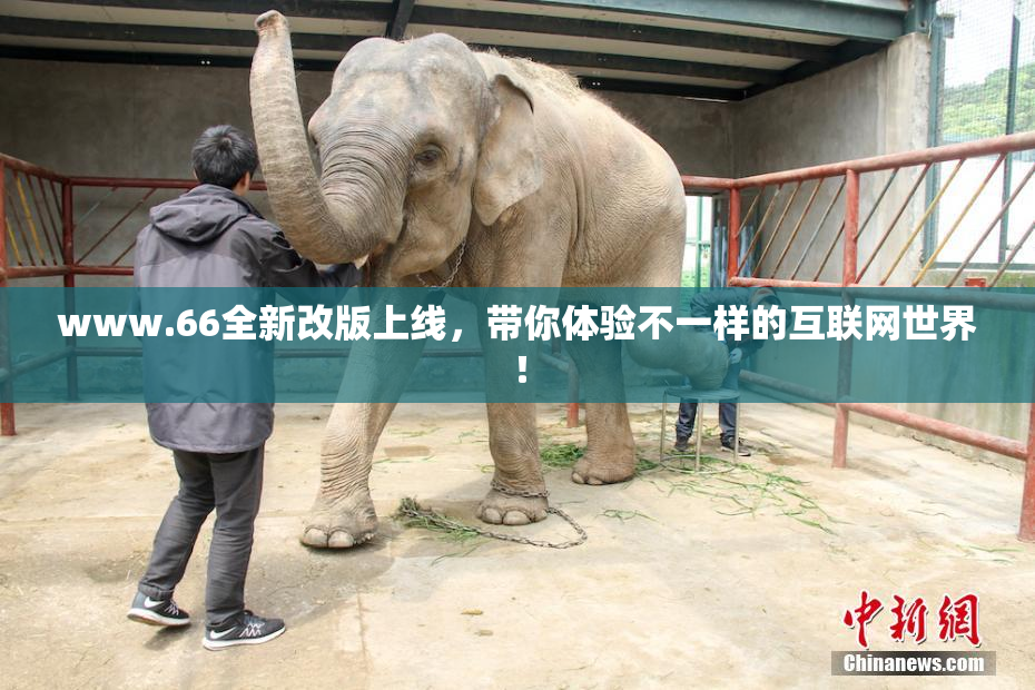 www.66全新改版上线，带你体验不一样的互联网世界！