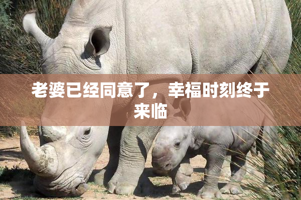 老婆已经同意了，幸福时刻终于来临