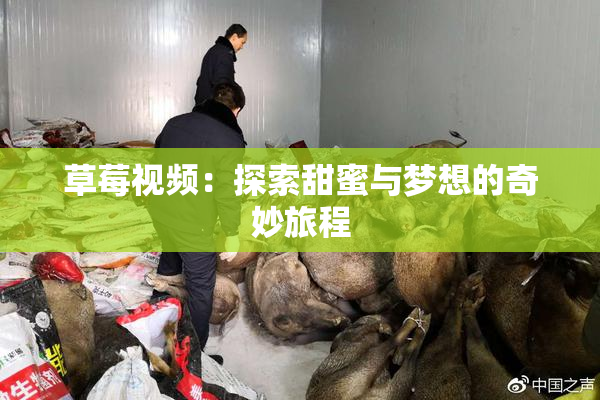草莓视频：探索甜蜜与梦想的奇妙旅程