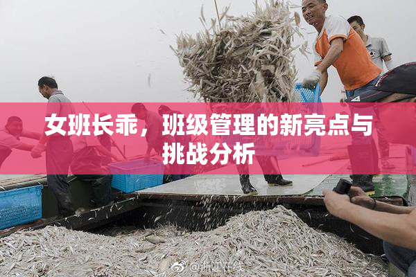 女班长乖，班级管理的新亮点与挑战分析
