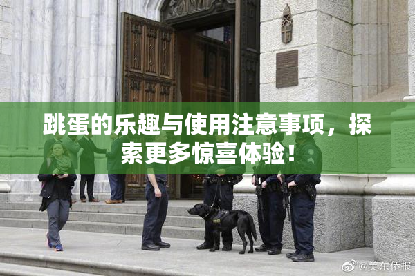 跳蛋的乐趣与使用注意事项，探索更多惊喜体验！