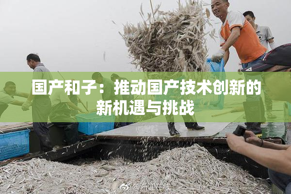国产和子：推动国产技术创新的新机遇与挑战