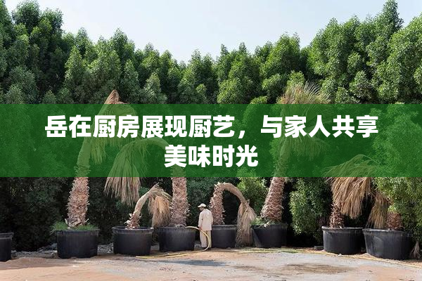 岳在厨房展现厨艺，与家人共享美味时光