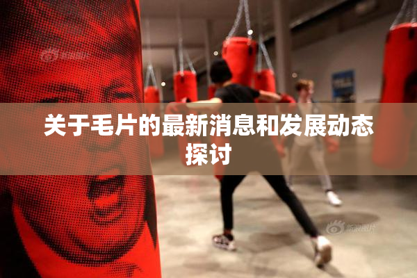 关于毛片的最新消息和发展动态探讨