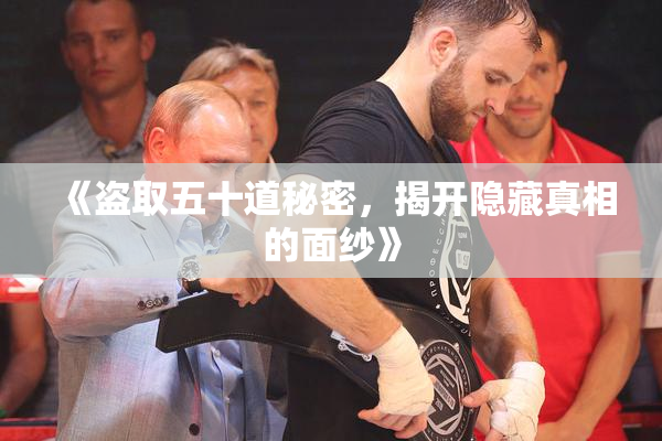 《盗取五十道秘密，揭开隐藏真相的面纱》