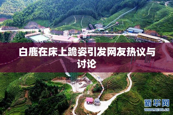 白鹿在床上跪姿引发网友热议与讨论