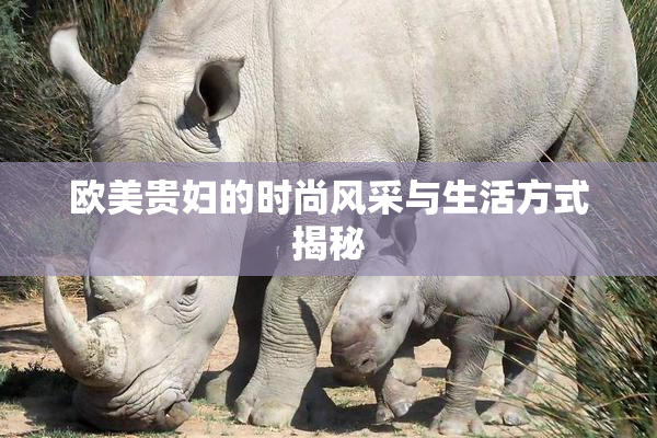欧美贵妇的时尚风采与生活方式揭秘