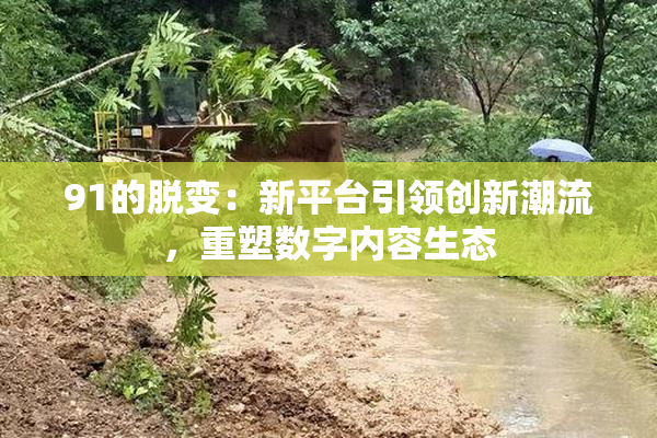 91的脱变：新平台引领创新潮流，重塑数字内容生态