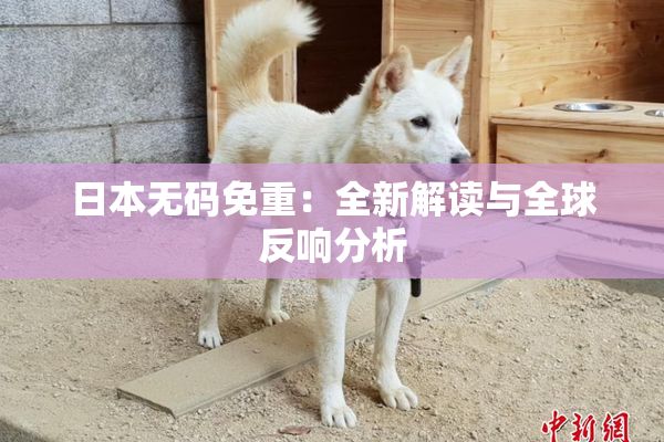 日本无码免重：全新解读与全球反响分析
