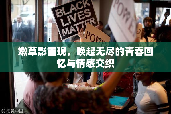 嫩草影重现，唤起无尽的青春回忆与情感交织