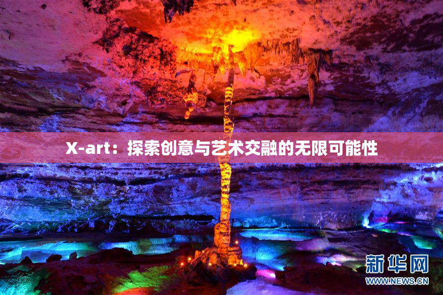 X-art：探索创意与艺术交融的无限可能性