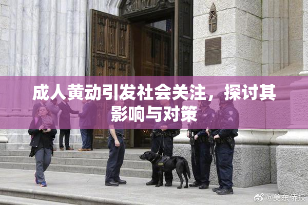 成人黄动引发社会关注，探讨其影响与对策
