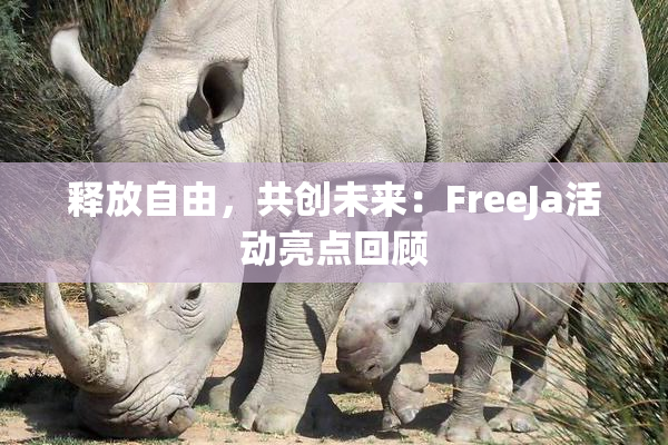 释放自由，共创未来：FreeJa活动亮点回顾