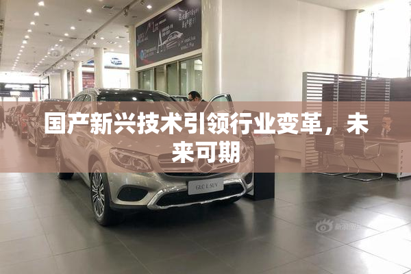 国产新兴技术引领行业变革，未来可期
