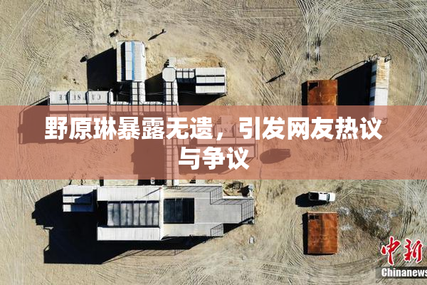 野原琳暴露无遗，引发网友热议与争议