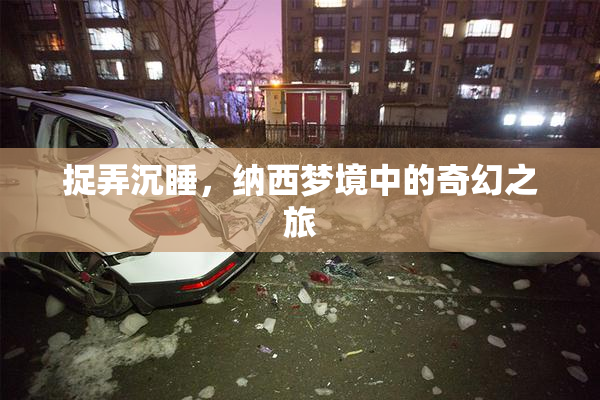 捉弄沉睡，纳西梦境中的奇幻之旅
