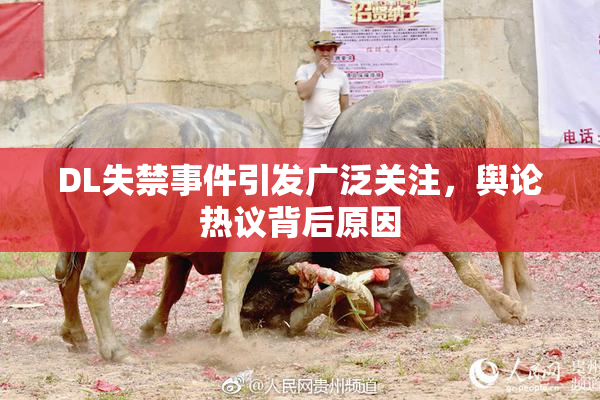 DL失禁事件引发广泛关注，舆论热议背后原因