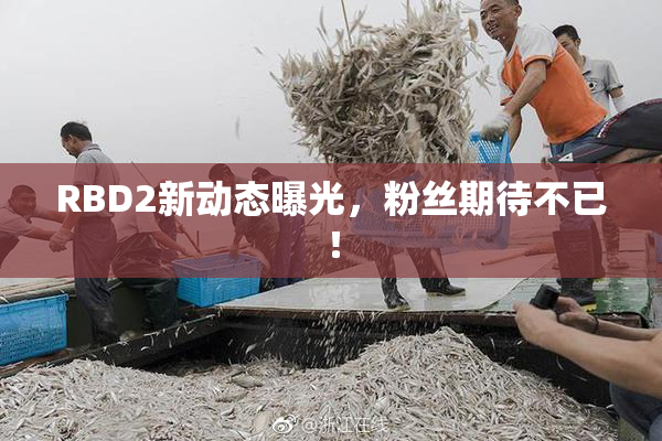RBD2新动态曝光，粉丝期待不已！