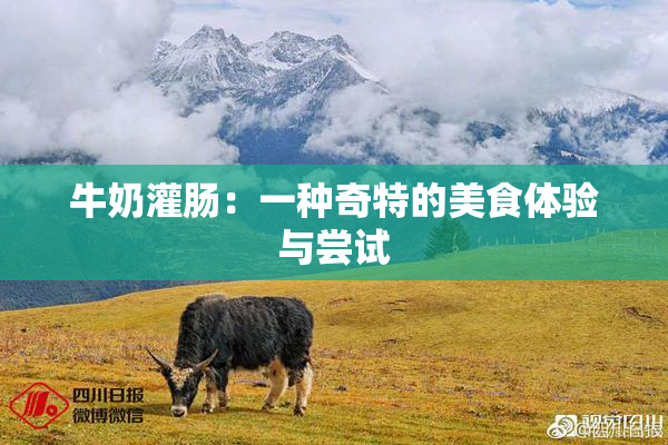 牛奶灌肠：一种奇特的美食体验与尝试