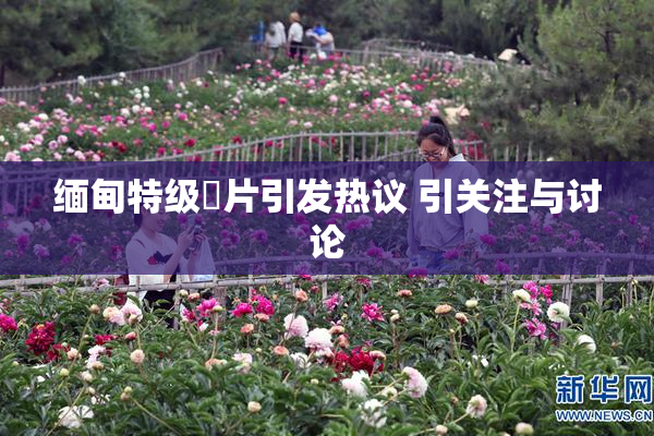 缅甸特级婬片引发热议 引关注与讨论