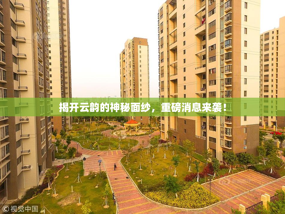 揭开云韵的神秘面纱，重磅消息来袭！