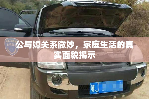 公与媳关系微妙，家庭生活的真实面貌揭示