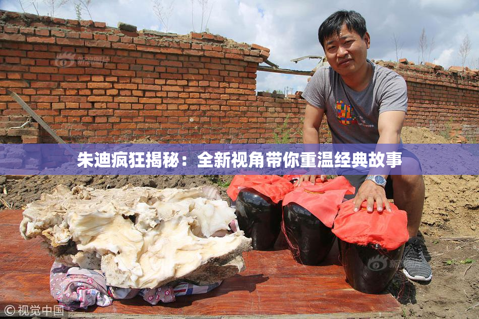 朱迪疯狂揭秘：全新视角带你重温经典故事
