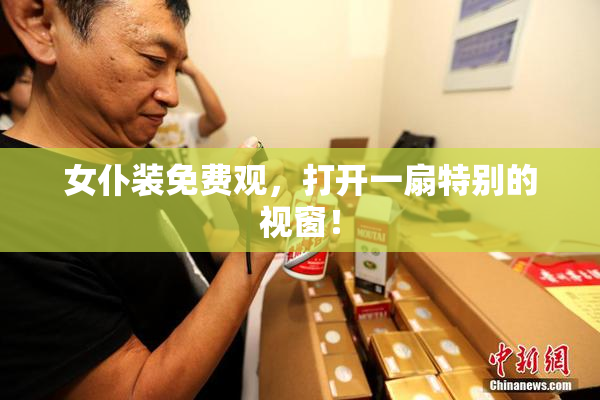 女仆装免费观，打开一扇特别的视窗！