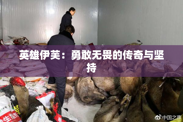 英雄伊芙：勇敢无畏的传奇与坚持